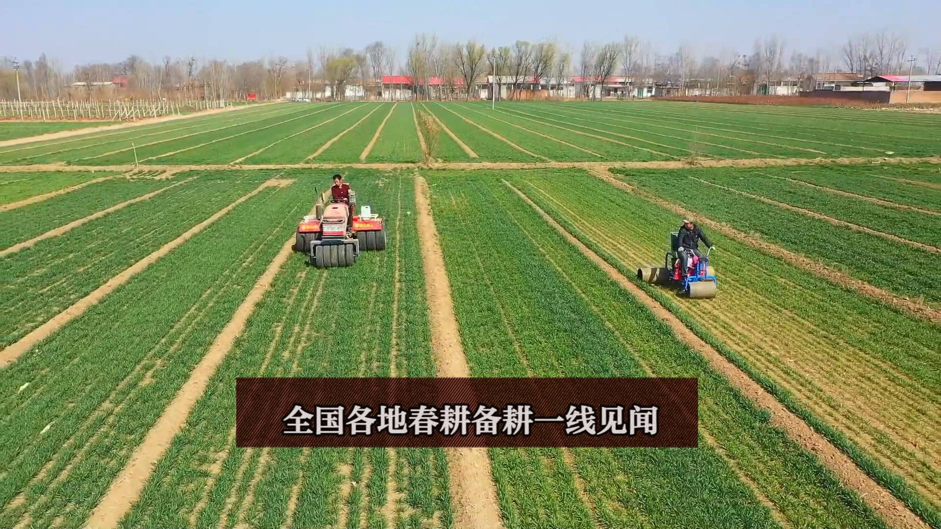 新华视点｜稳中向好 韧性凸显——从半年报看中国经济形与势
