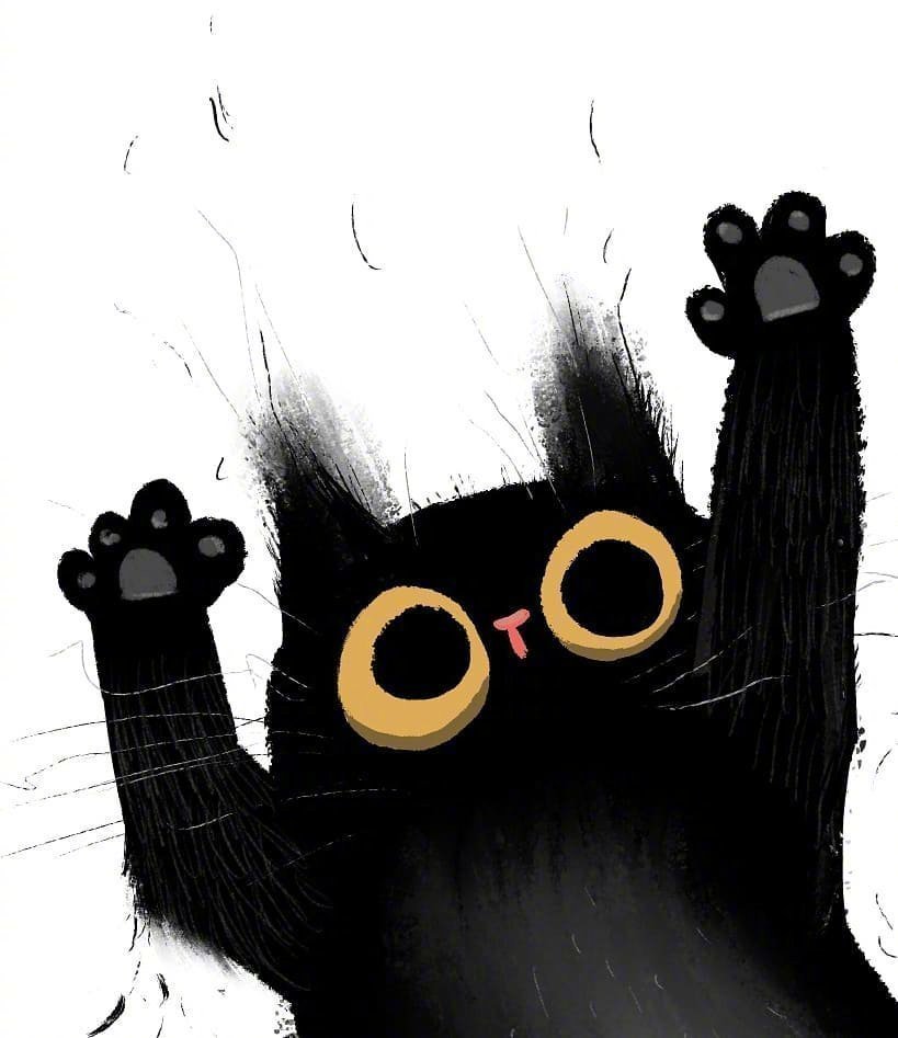 炸毛小猫 好可爱 好看的头像背景图