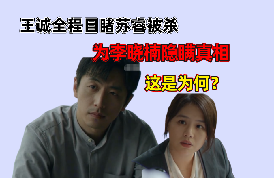 江照黎明:王诚跟踪李晓楠夫妇,全程目睹苏睿被害