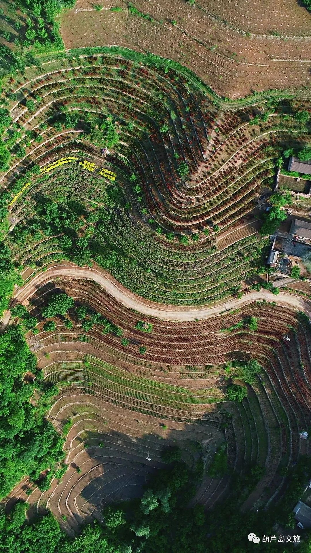 辽宁省绥中县加碑岩乡图片