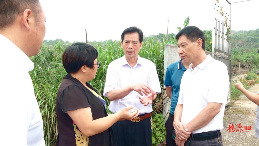 徐本华率队督查甘溪河流域水环境整治工作