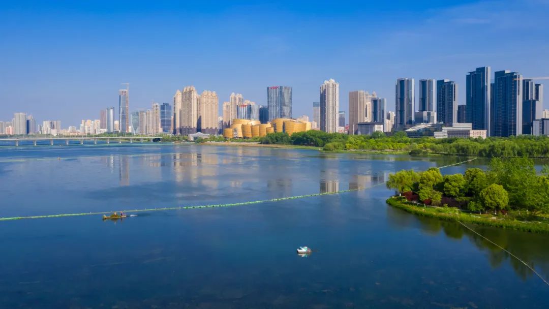 结果出炉今年也是精致的沙湖公园