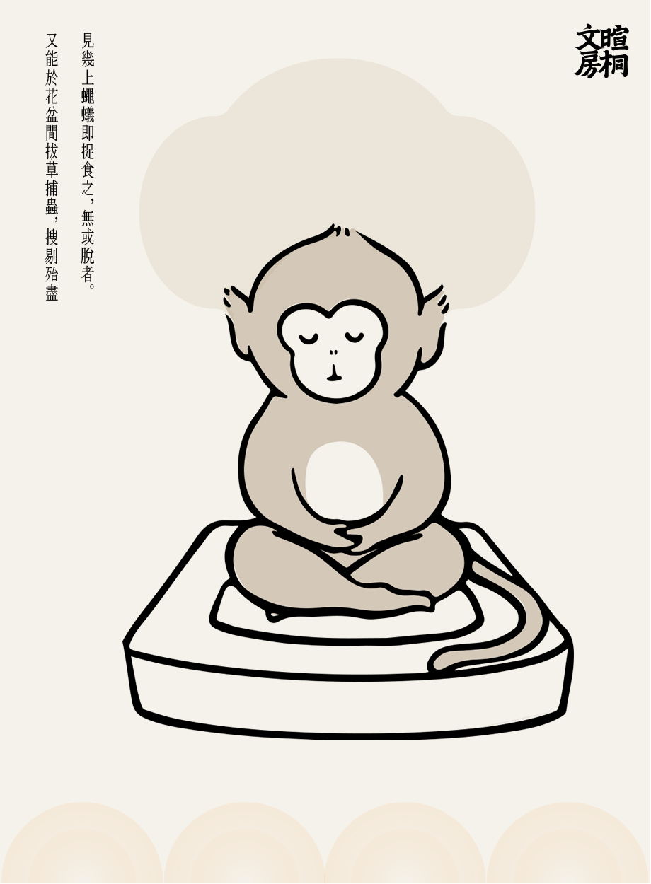 墨猴或已不存