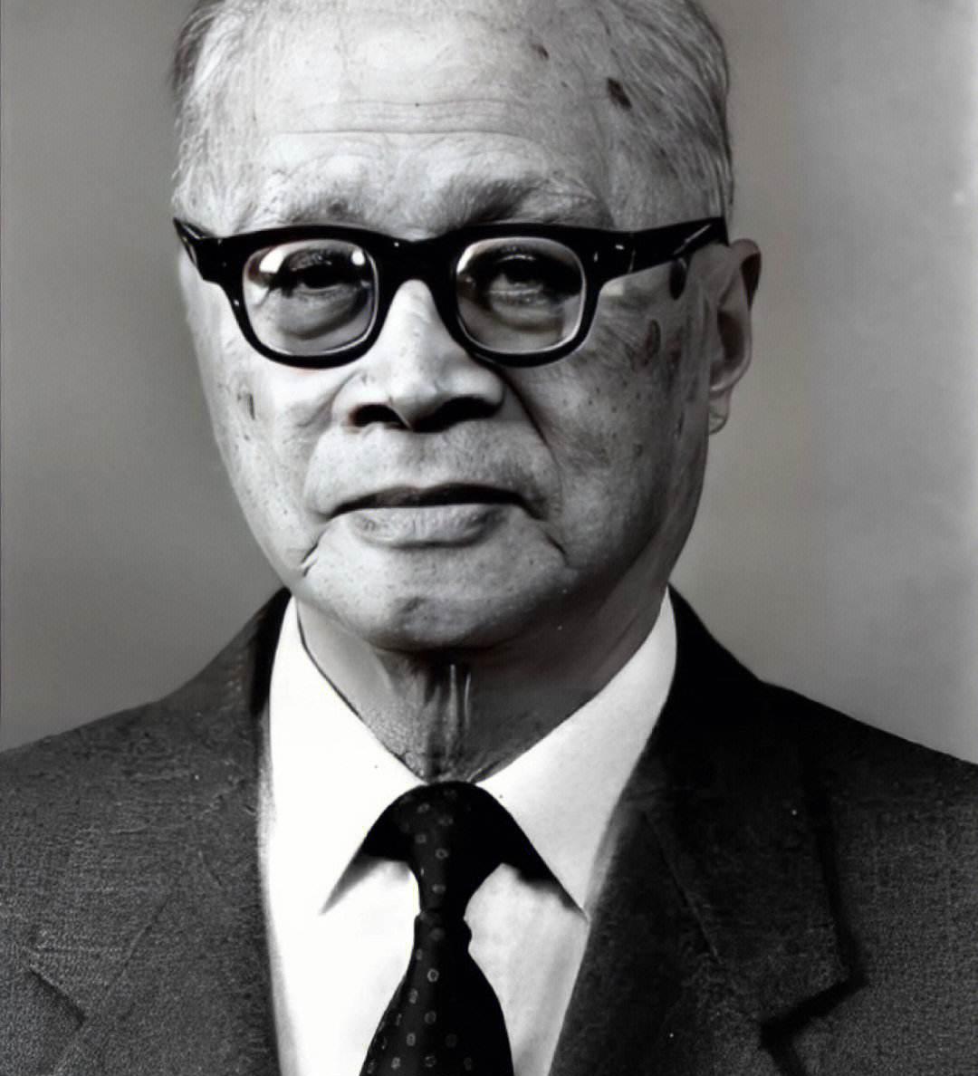 两弹一星元勋:王淦昌的坚韧与担当