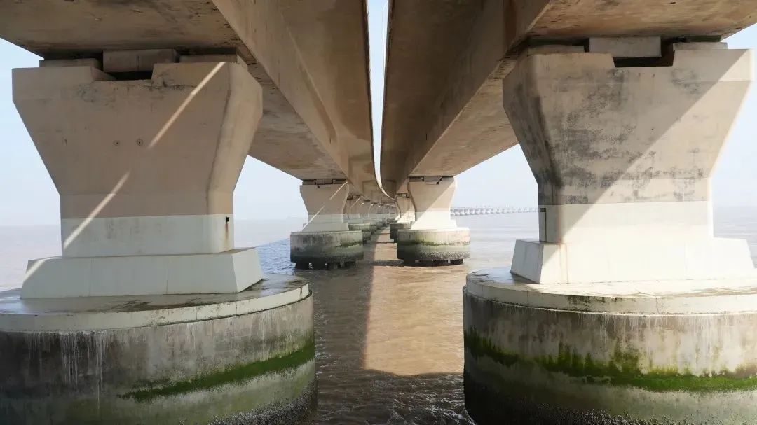 厉害了!"补牙"神器为东海大桥桥墩"强身健体"