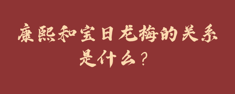 康熙和宝日龙梅的关系是什么?