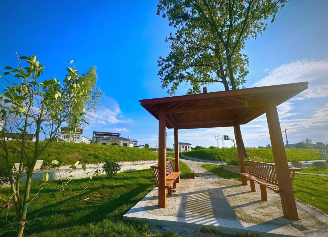 安徽怀宁高河镇和平村:村庄环境大改善,村民生活更幸福