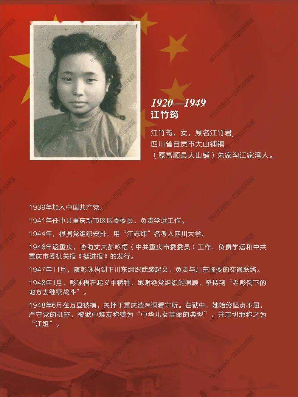 江夫人简介图片