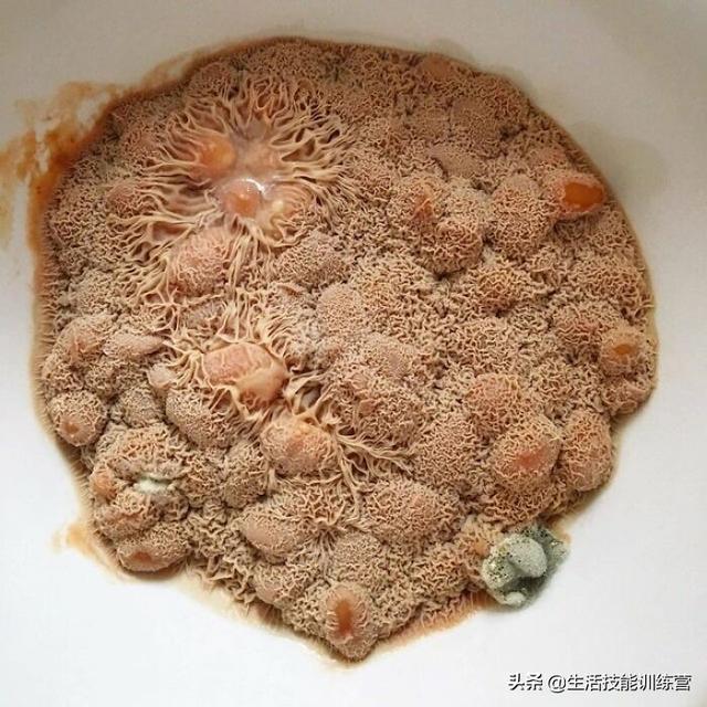 揭井盖全身起鸡皮疙瘩的简单介绍