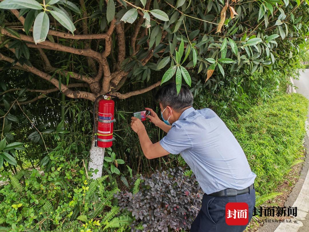 灭火器为何"长"树上?四川安全宣传工作走进农村社区