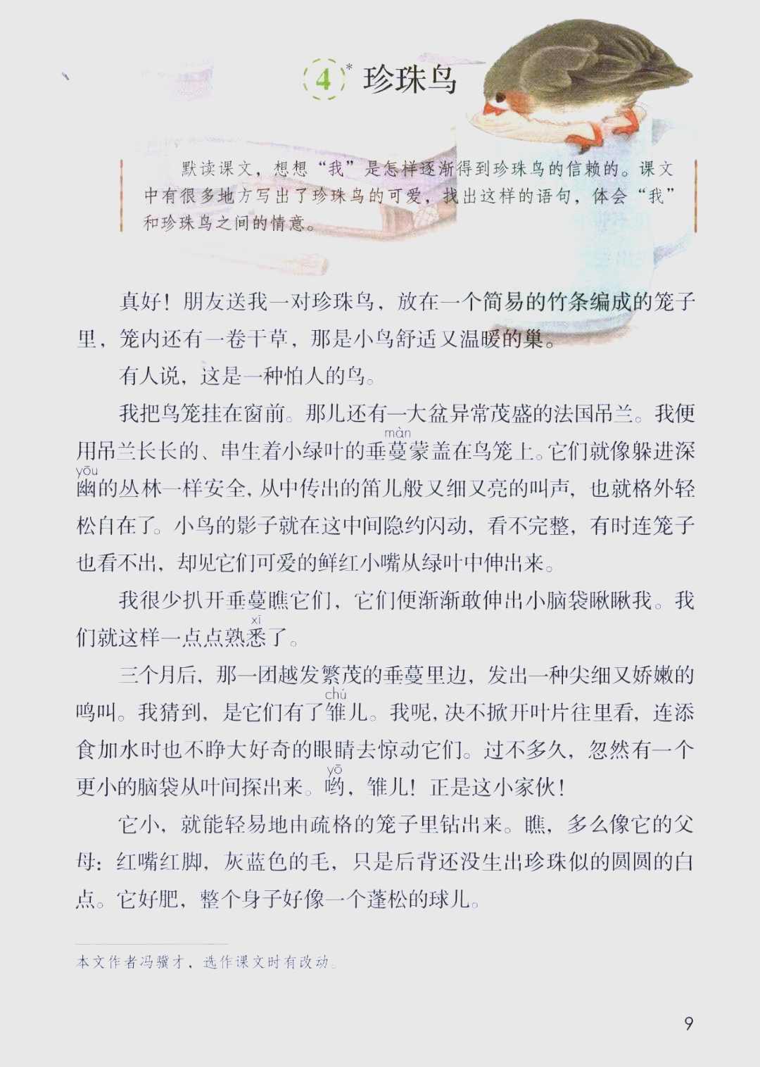 部编版五年级语文上册课文4珍珠鸟朗读及知识点详解