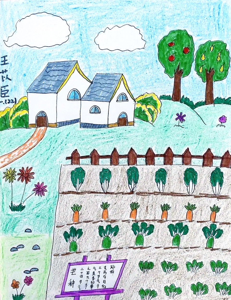 孩子们的小菜园:从种植到创作的全程体验