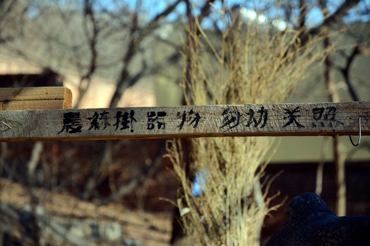 探訪大連金家街,有個公園很神秘,有些老樓很有故事