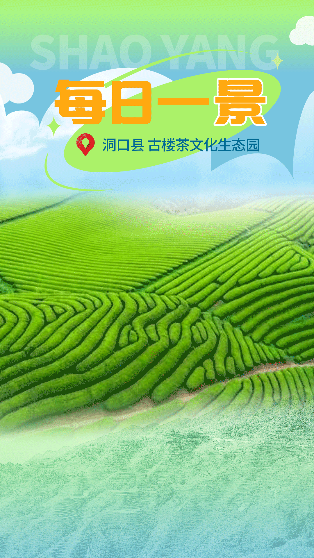 印象邵阳丨每日一景:洞口县古楼茶文化生态园