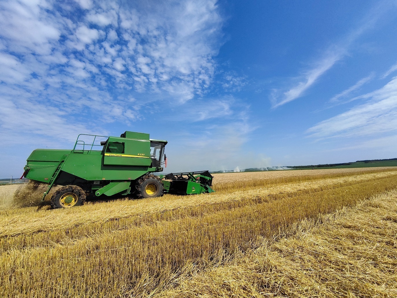 八月麦田收割忙