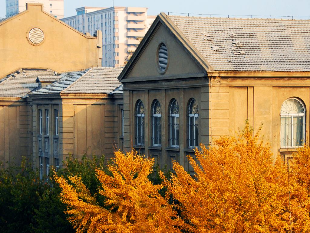 辽宁大学博雅楼图片