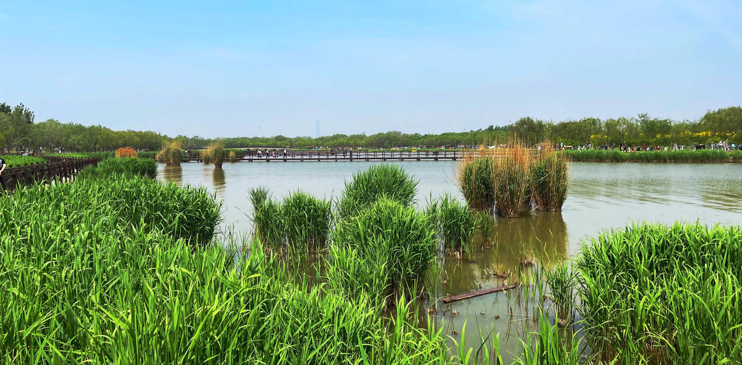 【天津】劳动节游西青郊野公园 很早听说天津西青区有个开放不久的