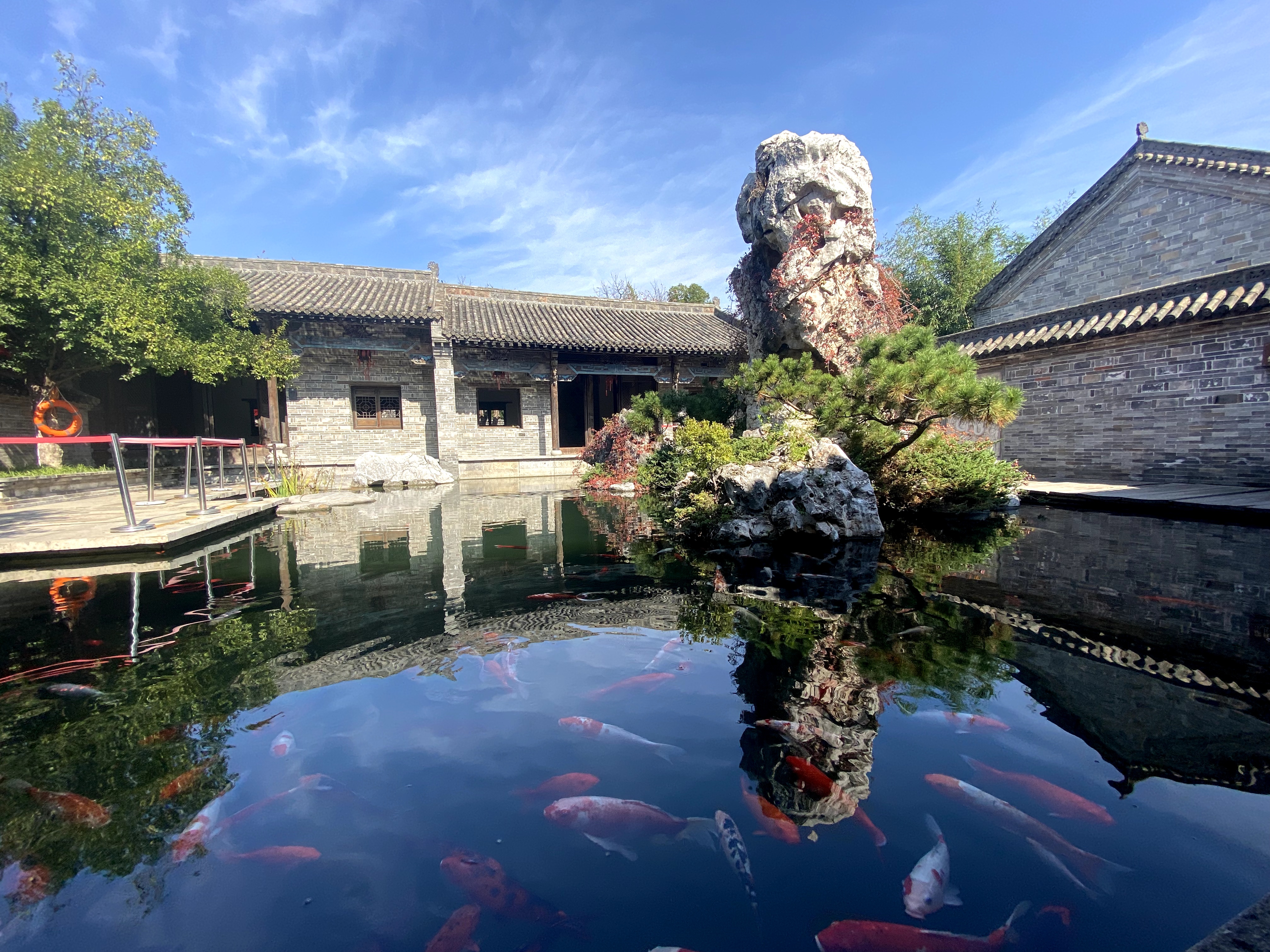 倏忽秋尽,掬一捧尤家花园的秋色给你