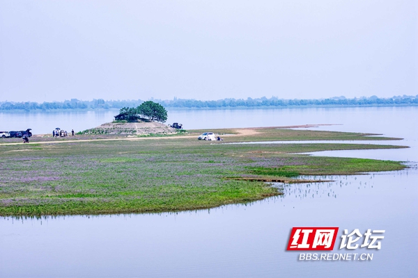 益阳来仪湖湿地公园图片