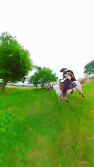 �̽���Խ�й������ظ����������������͡�������¡���