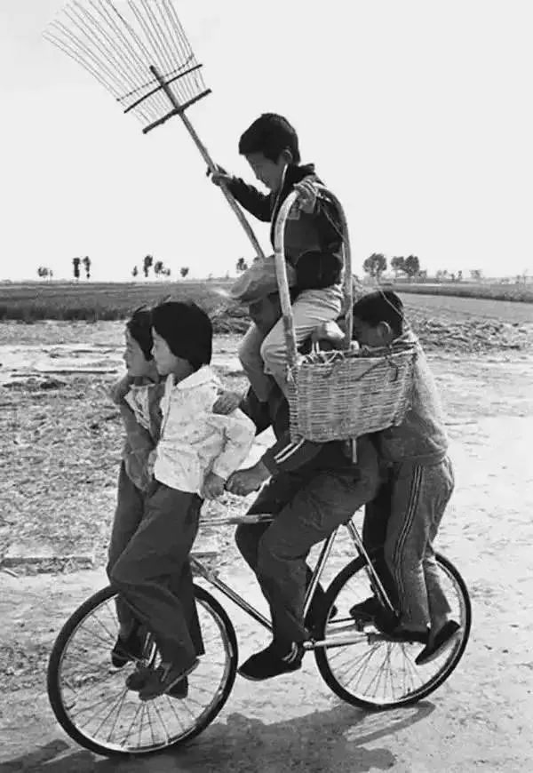 王文澜 摄影作品分享