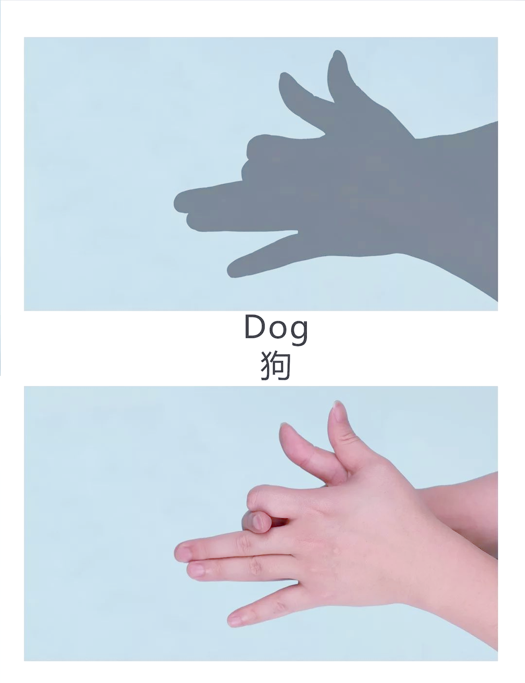 接下来,我们再来看另一种动物手影