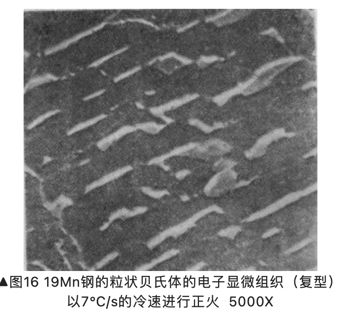 无碳化物贝氏体图片