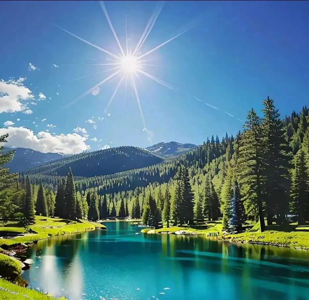 展现自然魅力的财运头像选择