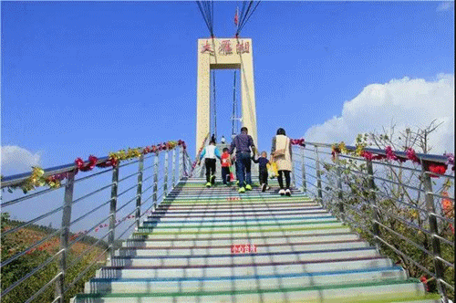 农场观光(七彩玫瑰园,紫荆花海,黄花风铃,恐龙谷,大雁湖)