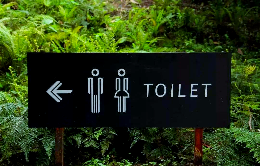 厕所英文标识全解析:从toilet到unisex