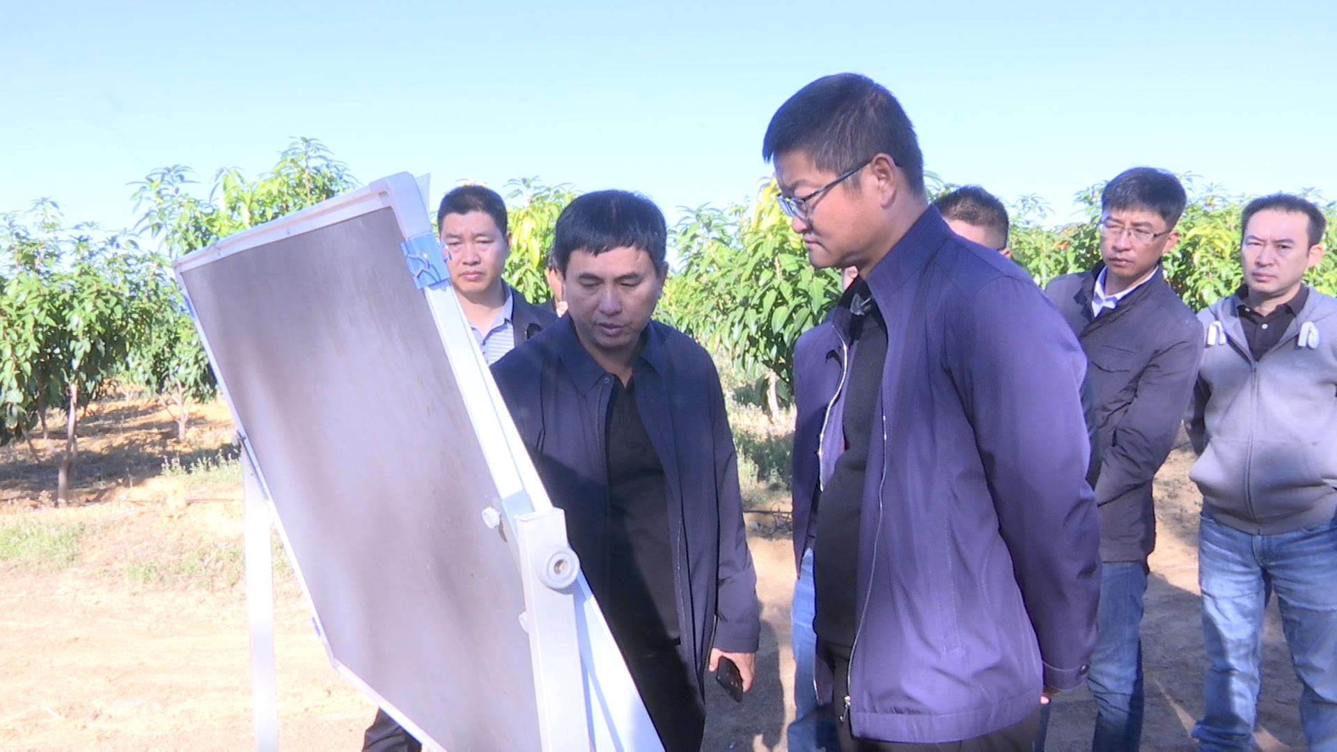 吴亚峰到永定镇调研"阳光生态花果园"建设工作