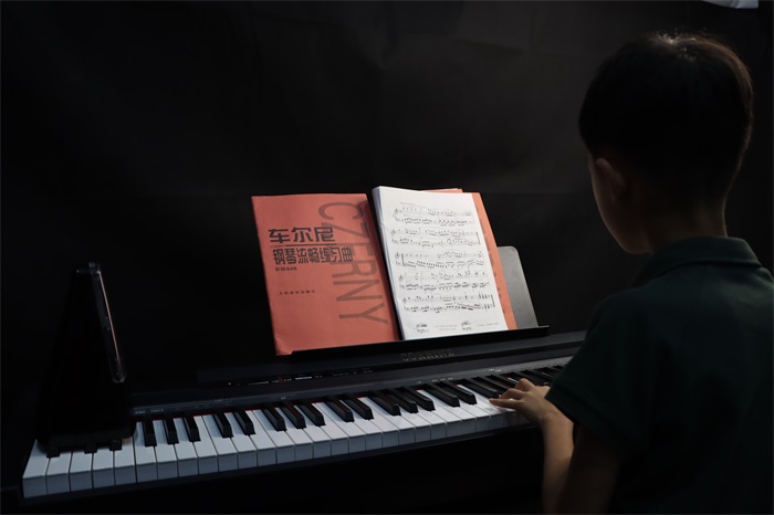 科瑞恩电钢琴d30图集