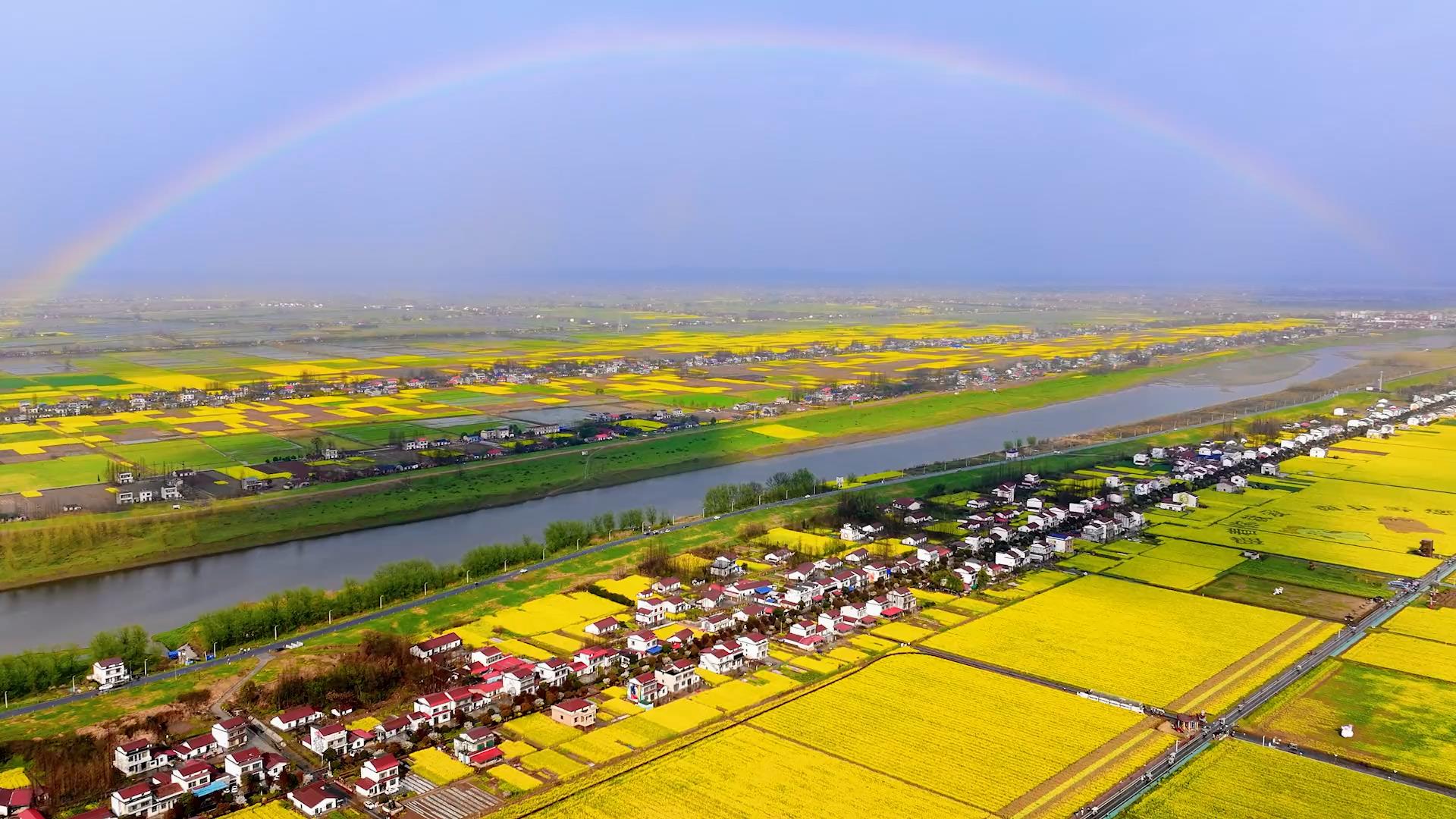 罗文花海:春暖花开等你来