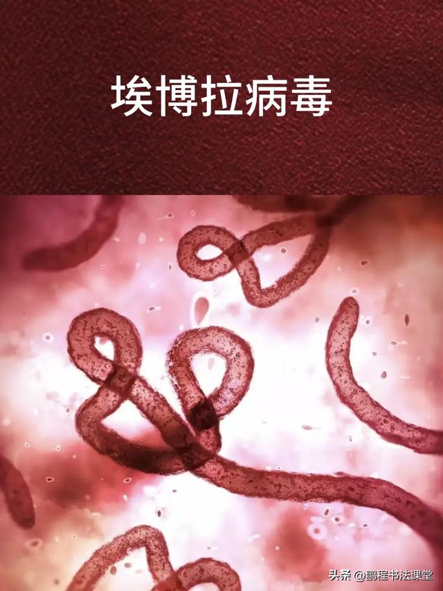  十种病毒名称(各种病毒名称大全)