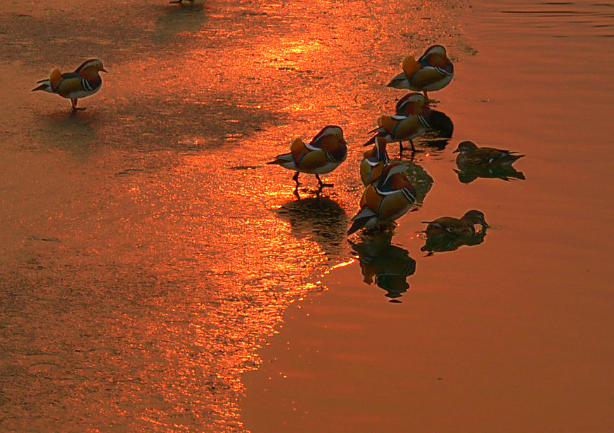 正月初五.北海太液池落日