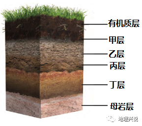 2021年福建省普通高中学业水平合格性考试地理试题