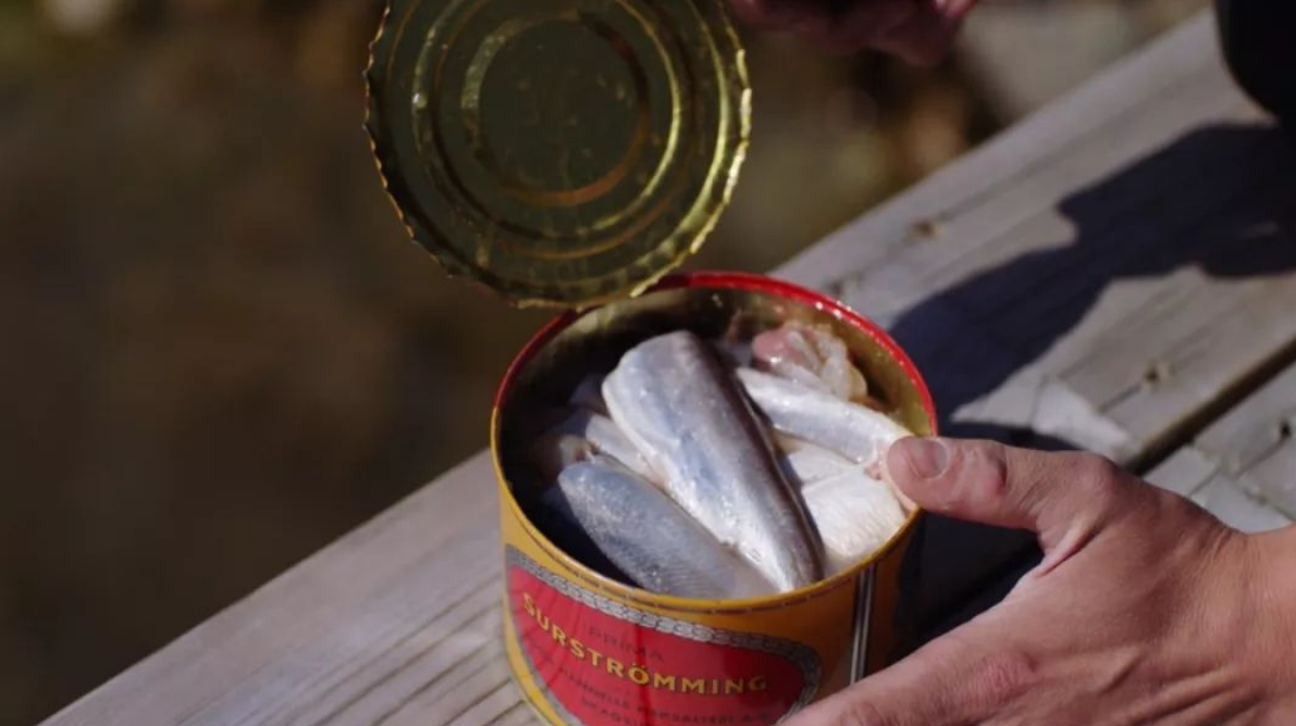"生化武器"鲱鱼罐头:游客被熏转身就跑,瑞典却一年吃掉400吨