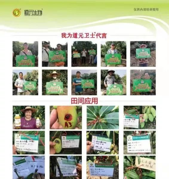 道元卫士丙硫唑 系列产品的介绍及应用