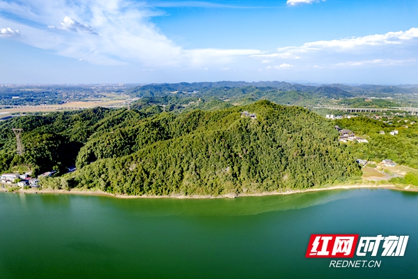 首届长沙市旅游发展大会丨洪孟春:魅力四"色" 点亮天心文旅新消费