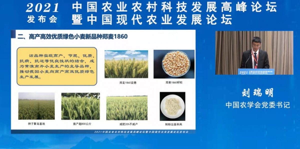 我院选育的小麦新品种郑麦1860入选2021中国农业农村重大新产品