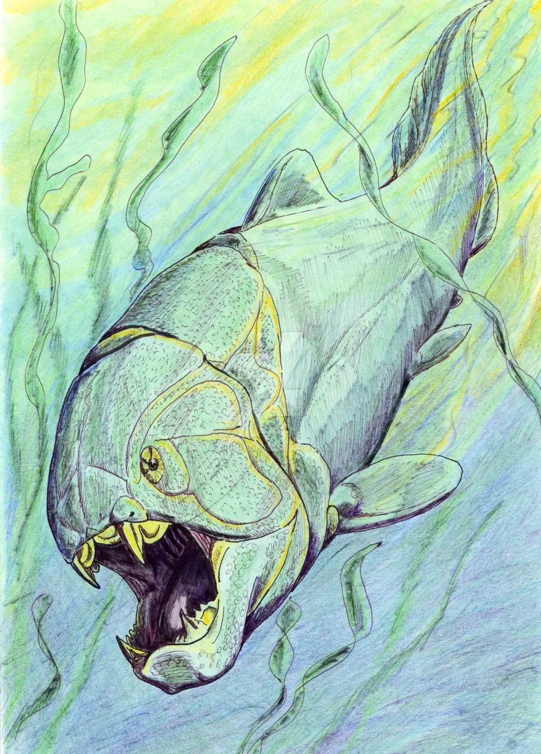 探索泥盆纪的海洋霸主