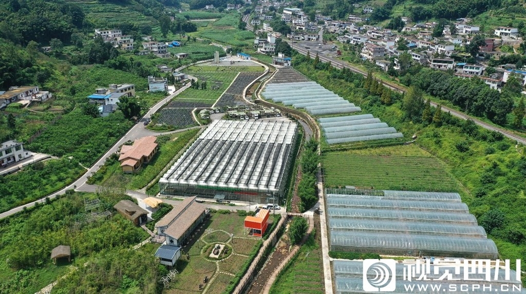 视频|镜观"百县千村行":珙县三合村 矿山废弃地到美丽"微田园"的转身