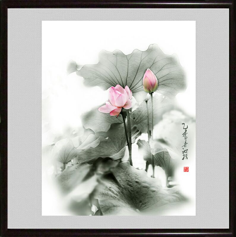 老沁:画意摄影 水墨荷花