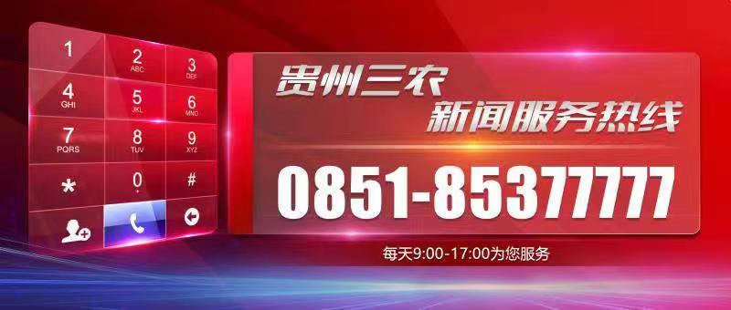 贵州黔西：抢收小麦颗粒归仓 - 图2