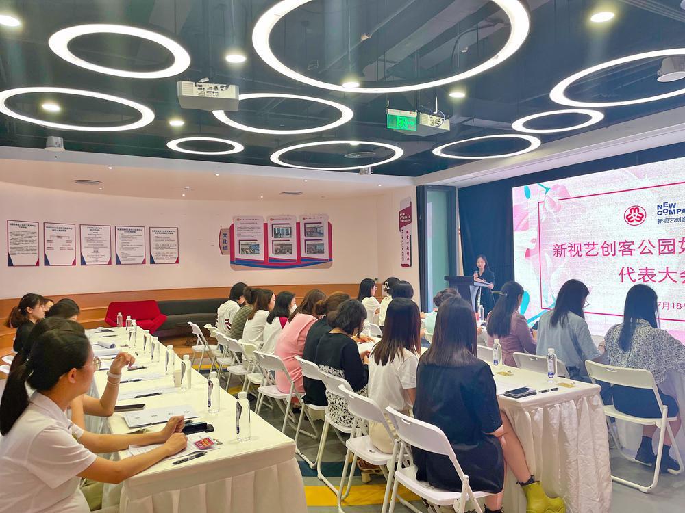 深圳市南山区桃源街道新视艺创客公园妇联成立