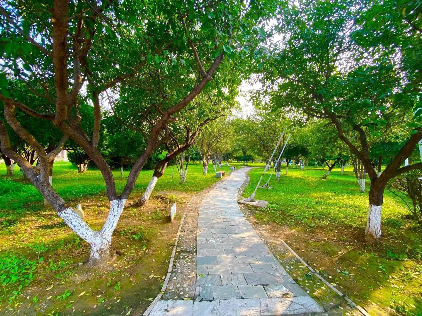 郊野公园(2)——经仪公园