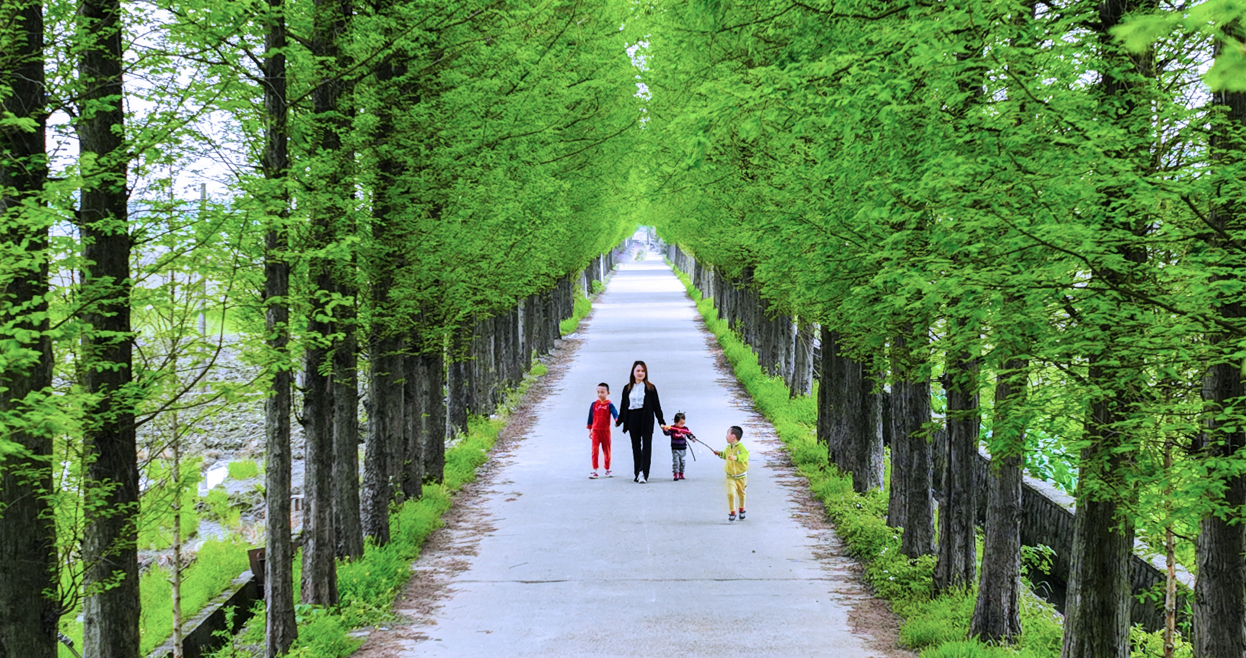 湖南:户外踏青游玩,感受美好春光