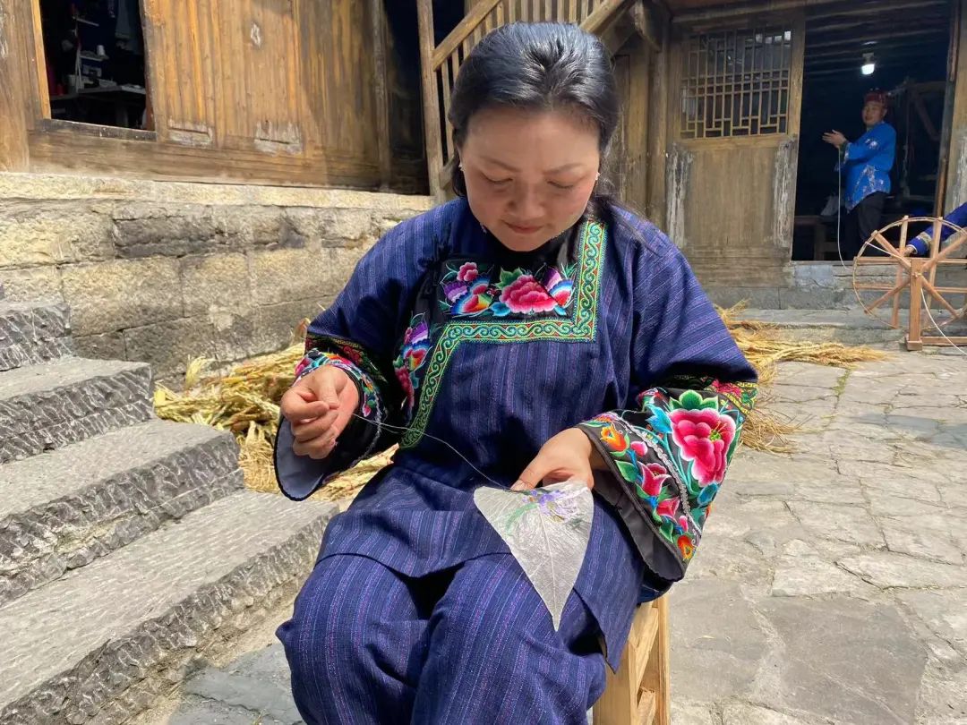 新时代贵州巾帼风采杨丽一片树叶蕴藏的无限能量