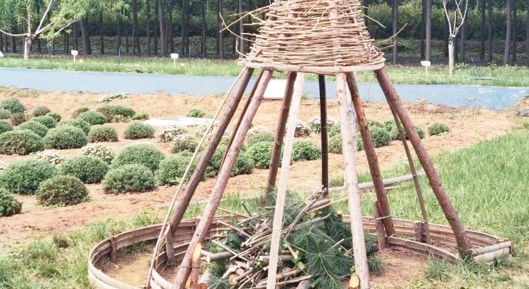 全国科普日揭秘:本杰士堆的自然生态功能