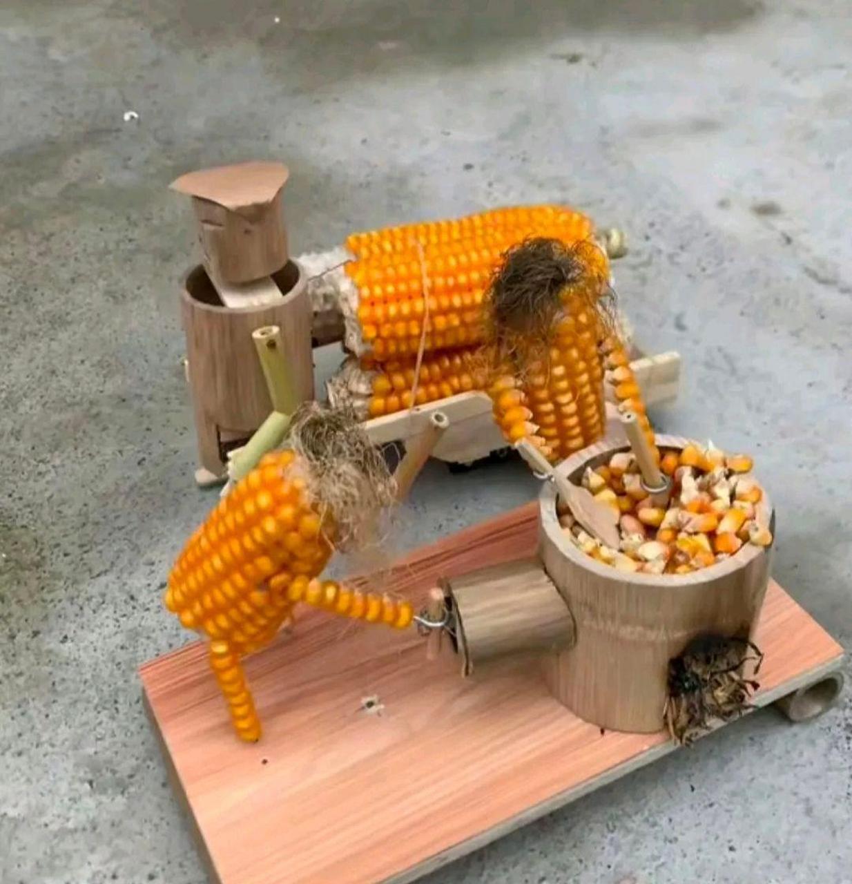 用玉米做的玩具,有点意思.